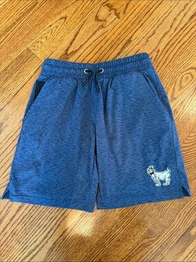 Youth GOAT Blue Drawstring Shorts